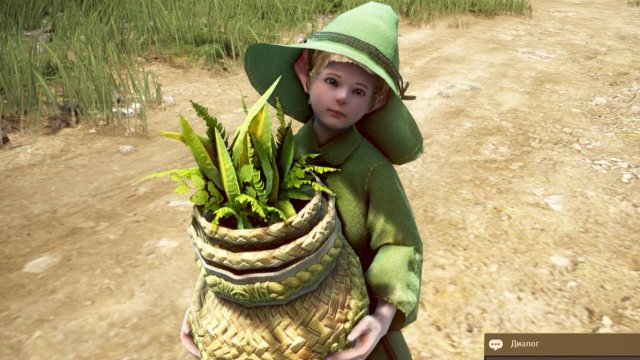 Сообщить о происшествии. Black Desert. Жизнь - игра.