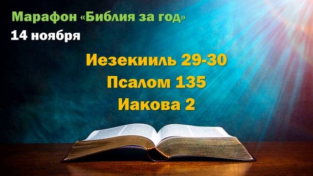 14 ноября. Марафон "Библия за год - 2025"