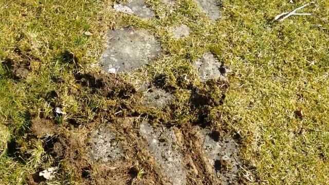 2 АРХИВ.10.04.20..Дача. .холодно..но мы не сдаемся😂отдыхаем