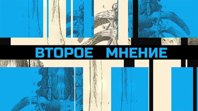 Выпуск от 08.11.2025 г.