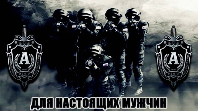 кубок альфа будо бои в абсолютных весовых категориях с призовым фондом