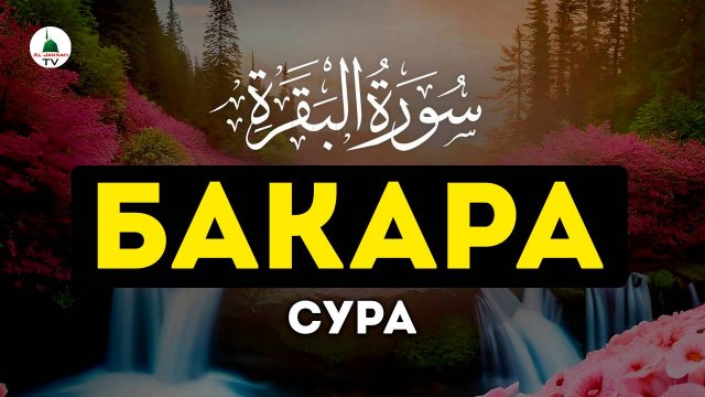 Бакара. Сура Корана