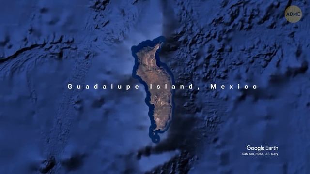 Самая катастрофическая попытка человечества пробурить Землю