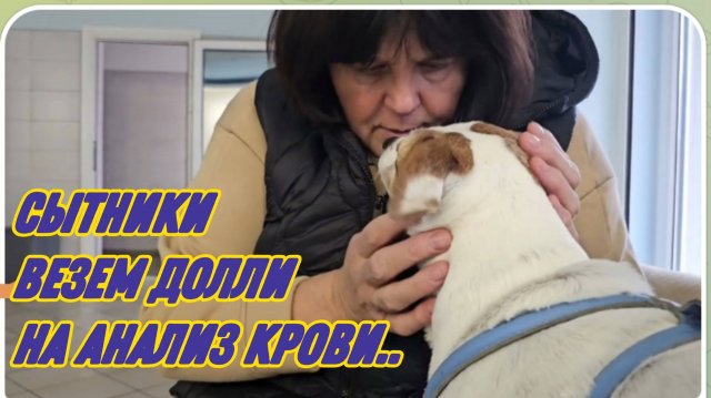 САМВЕЛ АДАМЯН, СЫТНИКИ, ВЕЗЕМ ДОЛЛИ НА АНАЛИЗ КРОВИ..