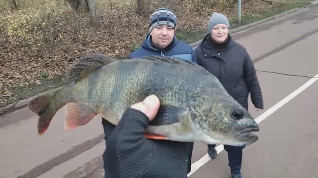 Рыбалка на Химкинском водохранилище. 09.11.2025.