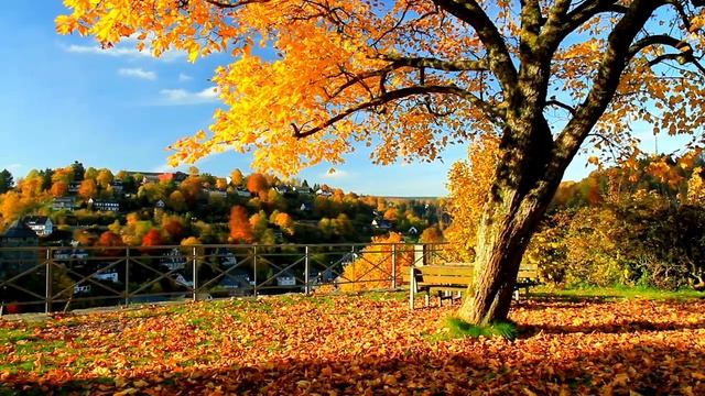 Знамения вселенной. Что ждёт ваш знак_