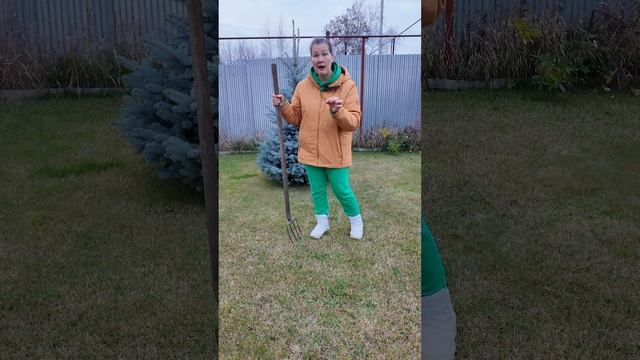 ГАЗОН ОСЕНЬЮ - УСПЕТЬ СДЕЛАТЬ ДЛЯ КРАСИВОЙ ЛУЖАЙКИ! ЗАЩИТА ОТ ВЫПРЕВАНИЯ, ПОКОС, УДОБРЕНИЕ ФЕРТИКА