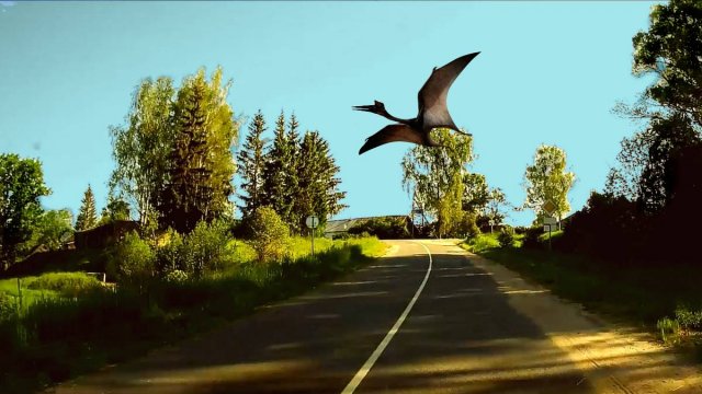 Свежее солнечное утро