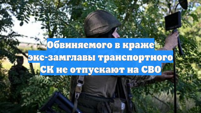 Обвиняемого в краже экс-замглавы транспортного СК не отпускают на СВО