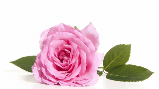 9 ноября 2025 г. Воскресная служба на русском языке