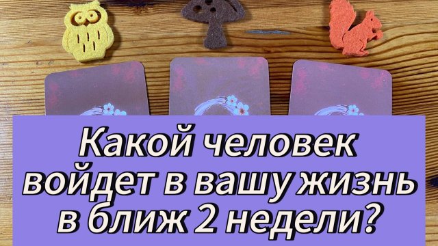 Какой человек в ближайшие 2 недели войдет в вашу жизнь?