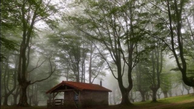 Красота, лесных домов !