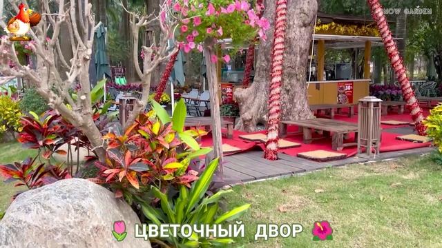 Цветы на участке и во дворе как красиво посадить фото идеи для вдохновения (166)