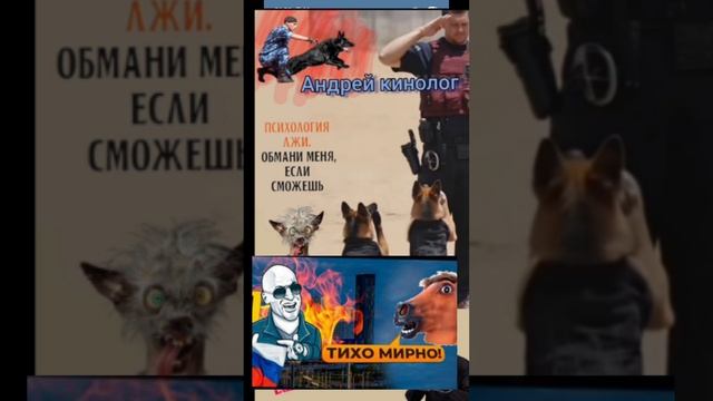 Шубу Савелию за паспорт.