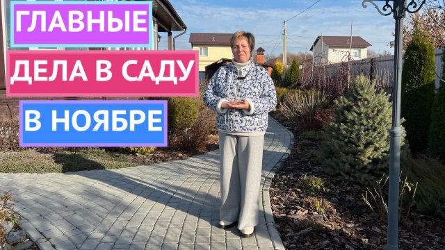 САД В НОЯБРЕ! УСПЕЙТЕ ЭТО СДЕЛАТЬ!