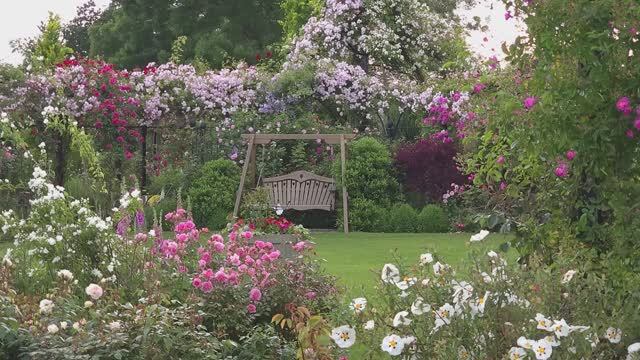 СОЗДАНИЕ РОЗОВОГО САДА: АРКИ, БЕСЕДКИ.СОВЕТЫ БРИТАНСКИХ ЭКСПЕРТОВ САД Peter Beales Classic Roses