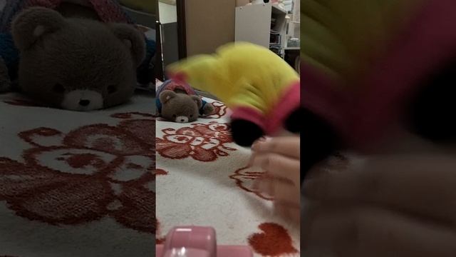 продолжение видео вечер уход за нерпусиком и пандусиком🐿🦨🐯хи-хи 🤗😁☺