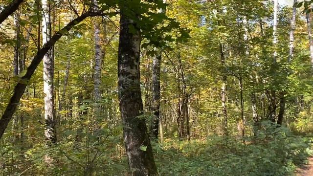 Мифы и стереотипы о профессии, выборе и реализации, в новом мире все меняется…