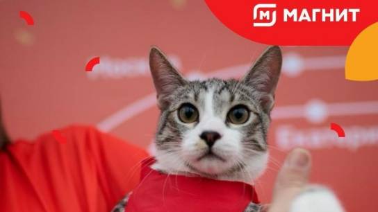 РАБОТА МАГНИТ ЛОГИСТИКА .ОЗОН,КУПЕР,ЯНДЕКС.