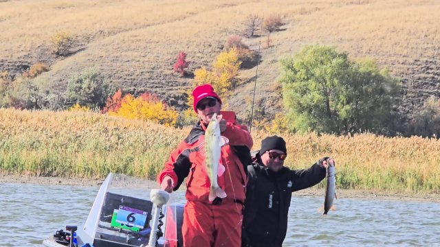 Рыбалка осеннего судака на Дону