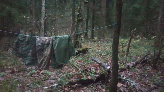 Ритмичность камуфляжа