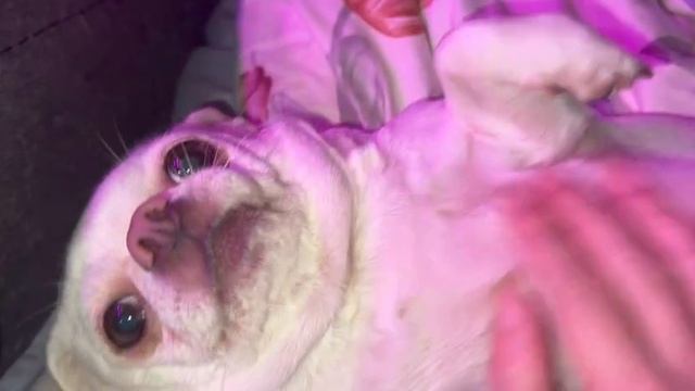 Всем наидобрейшего утречка и чудесного начала дня.