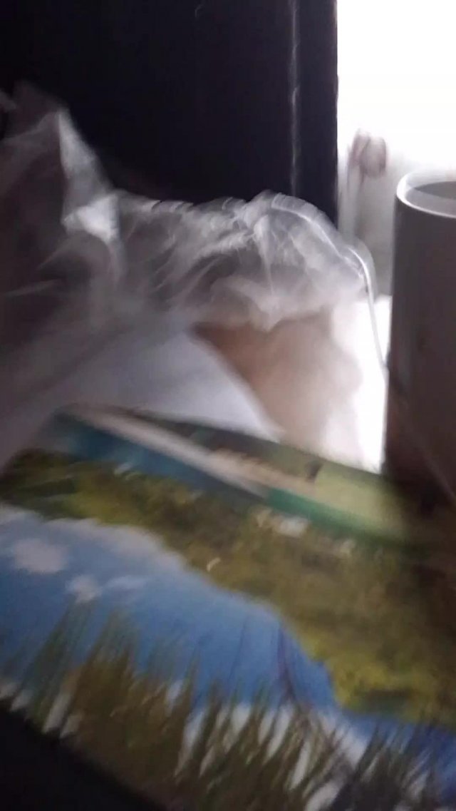 играю в метель