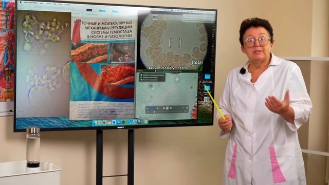 Скрытая бомба в ваших сосудах: Всё начинается с ТАКОГО анализа крови! Срочно смотрим!