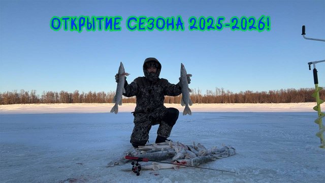 Щуки заглатывают приманку. Открытие сезона 2025-2026  #рыбалка #щука #зимняярыбалка #deeper