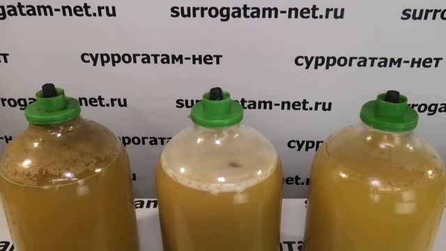 Какие дрожжи выбрать для яблочного сидра.? Тестируем дрожжи "дружба народов"