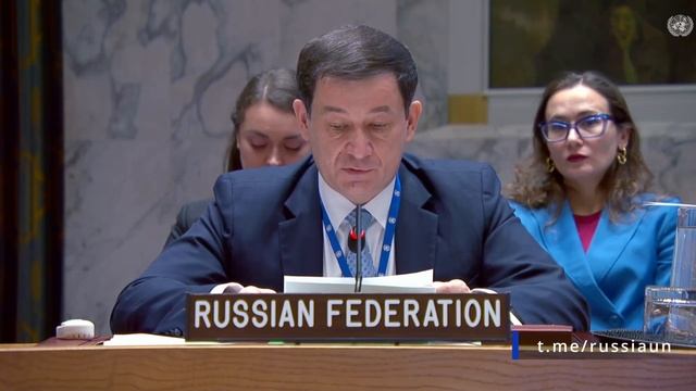 Д.А.Полянский на Совете Безопасности ООН по стрелковому оружию и легким вооружениям, 10 ноября 2025