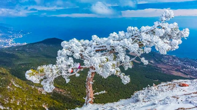 Снег на Ай Петри - толкаем машину.
