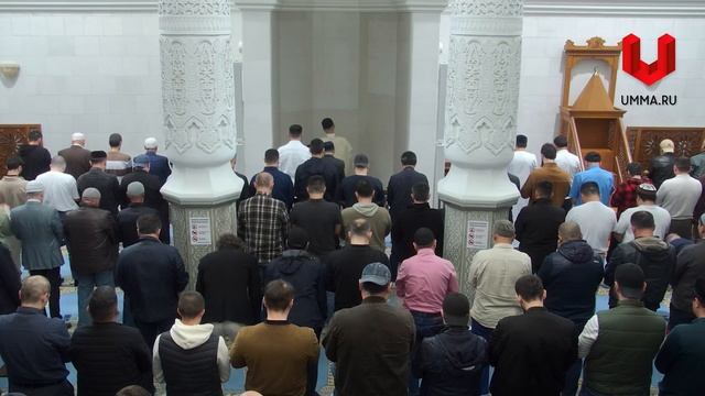 Красота жизни