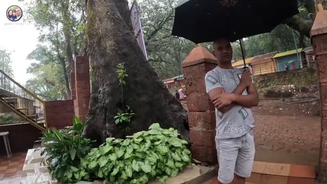 Наташа Замуж в Индию -СРОЧНО ВЫЗВАЛИ ПАРАМА В ШКОЛУ Артур отстает по программе 10.11.2025