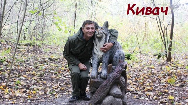 Коты и КоТтабыч