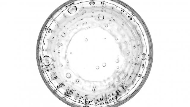 Всемирный день науки. Такое утро