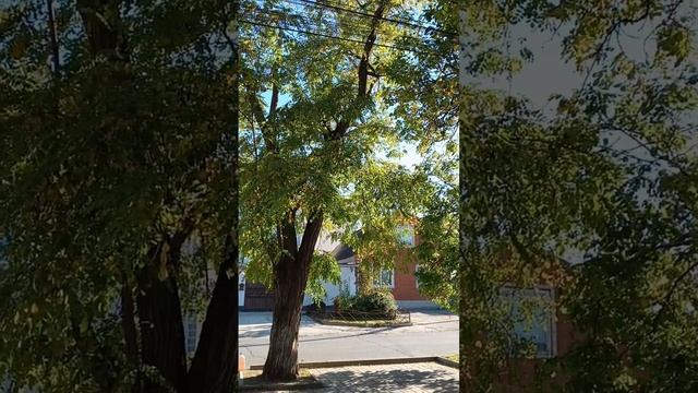 Анапа жизнь на Юге