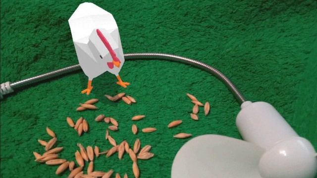 13.09.2019г видео и фото монтаж 4