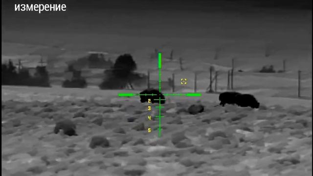 #Охота на #кабана с #КлубПроТепло