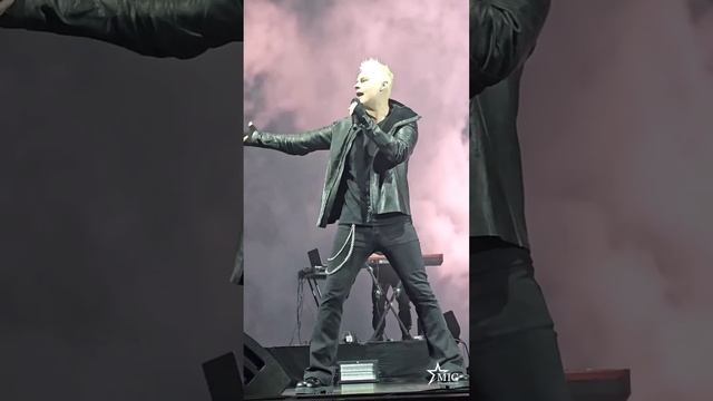 НОВИНКА от SHAMAN - Белый ветер! Такого вы еще не слышали! 16.10.2025