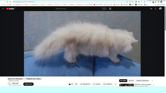 ЖАКЛИН МИРАДА ДЕЛЬ МАР