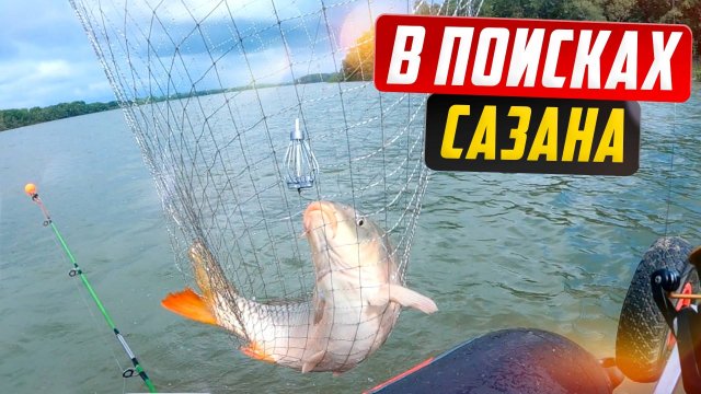 ПОИСК САЗАНА на РЕКЕ ОБЬ: ГДЕ его ЛОВИТЬ?
