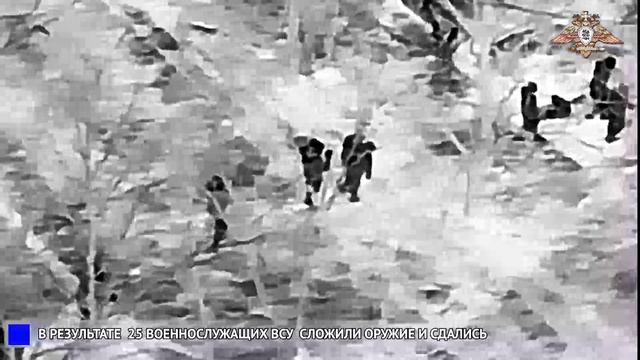 ❗🏳⚡25 военнослужащих 38 бригады морской пехоты ВСУ сдались в плен в г. Димитров