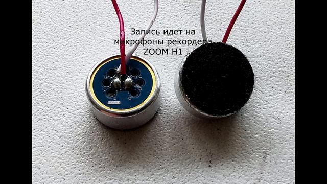 Тест микрофонов ZOOM H1 и Savetek GS-06