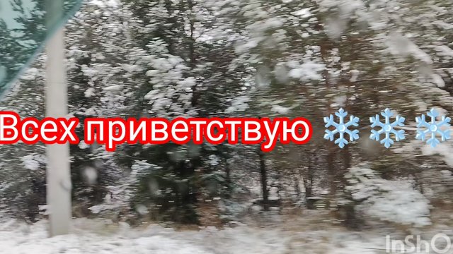 ТОРТИК/ 4000 тысячи зрителей/ КРАБОВЫЙ САЛАТ/ За водой и в магазин/