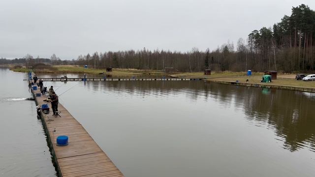 Пополнение акватории радужной форелью !!!