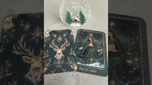 Тельцы ♉ что принесет 2026 год🌨️🎄