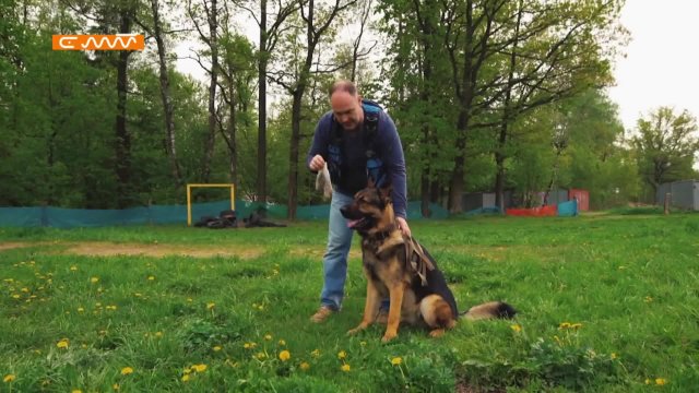 LIVE: «Сейм» | Курская область