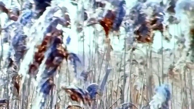 1986 год. Тюмень. Начало ноября