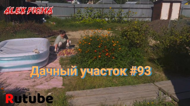 Дачный участок с нуля #93 Сбор урожая